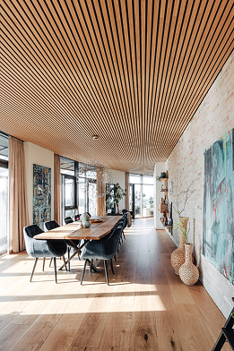 Ceiling Solutions